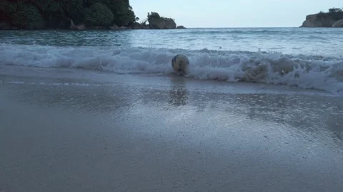 SOCCER BALL WASHED ASHORE Stock Footage 145297383