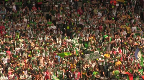 Soccer crowd waiving flags Stock Footage 27297535