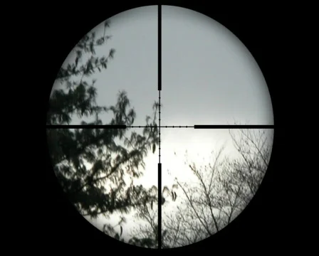 Soccer duck hunt Video stock 630536