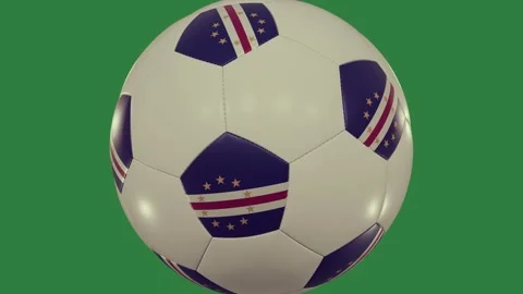 Soccer Dynamic - Stock Video Element Stock Footage 338016542