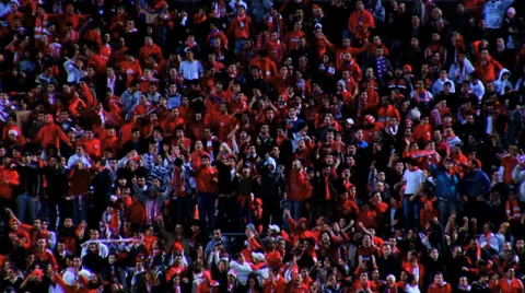 Soccer Fans Closeup2 Stock Footage 37639396