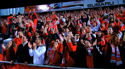 Soccer Fans Closeup5 Stock Footage 37641260
