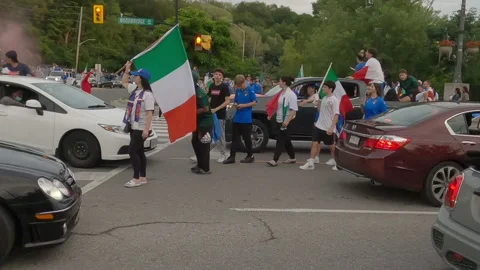 Soccer fans 库存影片 157328255