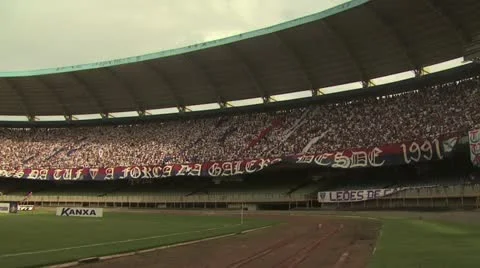 Soccer Fans At A Game 스톡 동영상 19154668