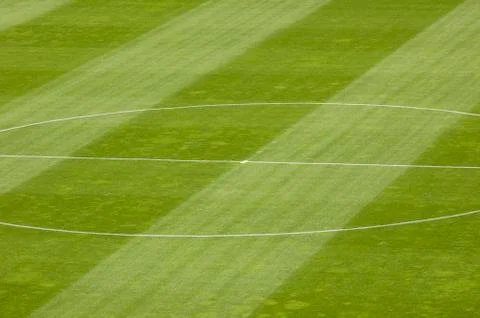 Soccer field grass Stock Photos