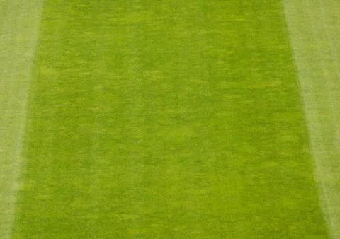 Soccer field grass Stock Photos