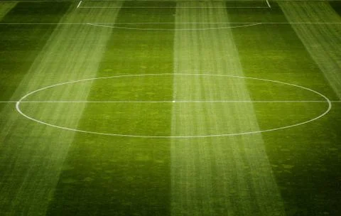 Soccer field grass Stock Photos