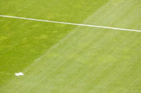 Soccer field grass Foto stock