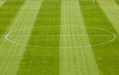 Soccer field grass Stock Photos