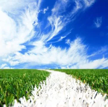 Soccer field grass Stock Photos