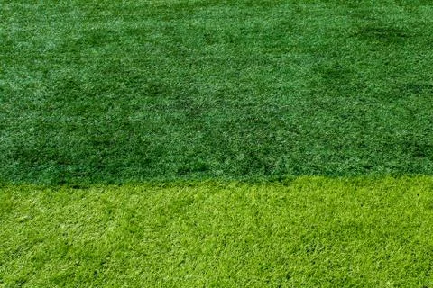 Soccer field grass Stock Photos