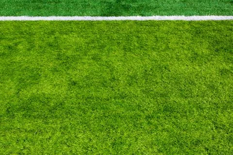 Soccer field grass Stock Photos