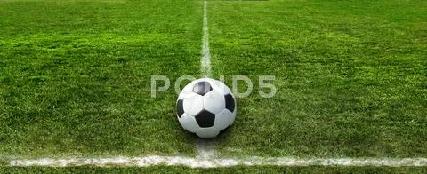 Soccer field green natural grass Stock Photos
