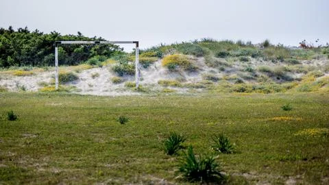 Soccer field Foto stock