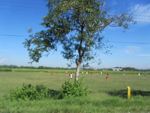 Soccer field Stock Photos