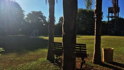 Soccer field revealed through trees slow cinematic pan in tropical park 4K Stock Footage 329454961