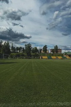 Soccer field surrounded by trees Foto stock