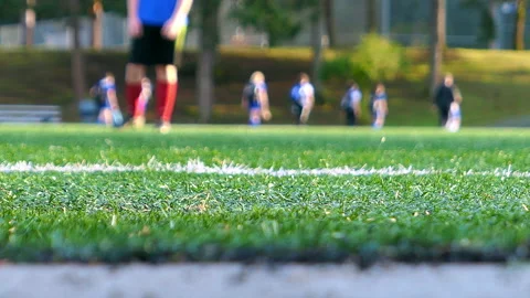 Soccer filed Stock Footage 143894309
