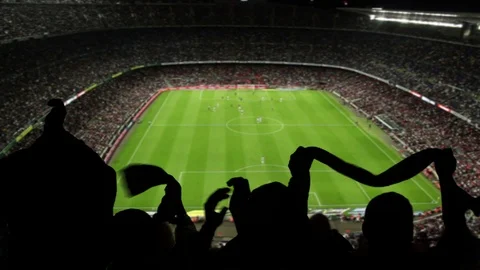 Soccer / Football Stadium at night - Scoring Goal! Fans & Supporters Celebrate Stock Footage