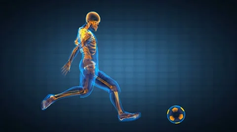 Soccer game player 動画素材 10810142