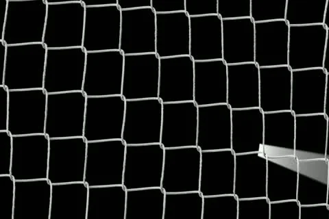 Soccer Goal Widescreen Stock Footage 10873585