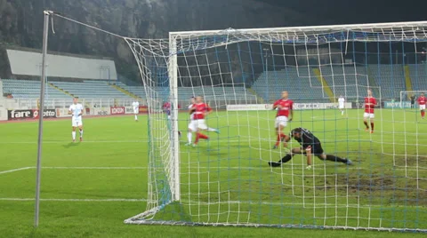 Soccer goalkeeper's  saving 動画素材 31439523