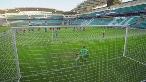 Soccer Match Blue Team Scoring Goal Video stock 224526640