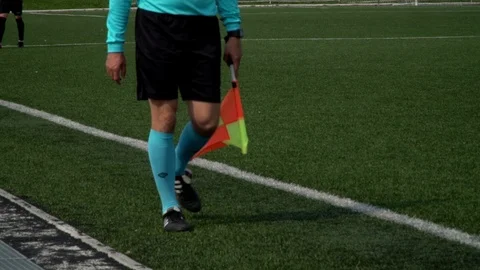 Soccer Match Stock Footage 105829110