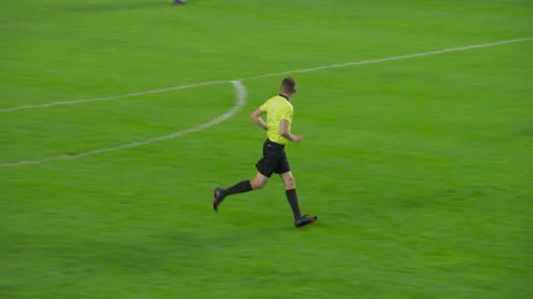 Soccer match Referee Stock Footage 222984769