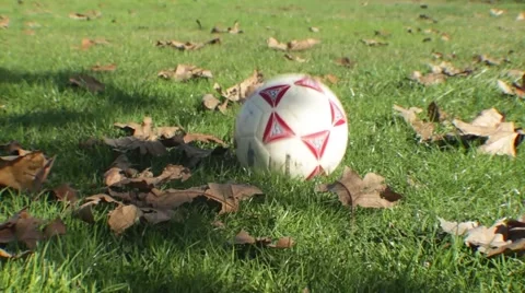 Soccer in the Park 2 Stock Footage 45434572