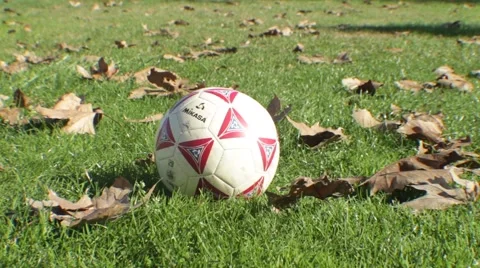 Soccer in the Park 3 Stock Footage 45434565