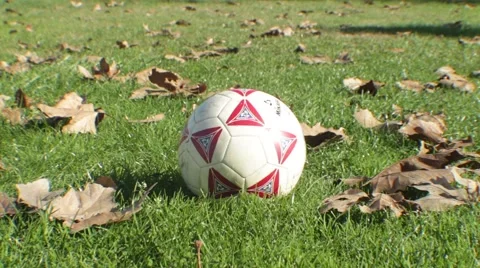 Soccer in the Park 4 Stock Footage 45434483