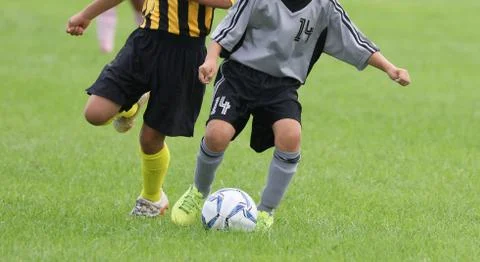 Soccer Stock Photos