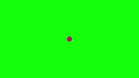 Soccer Professional Isolated Green Screen Stock Video Video stock 336960084