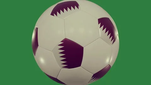 Soccer Professional - Stock Video Element Stock Footage 338016527
