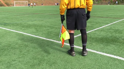 Soccer referee Stock Footage 67041871