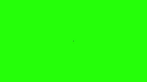 Soccer Referee Icon Stock Footage 342778385