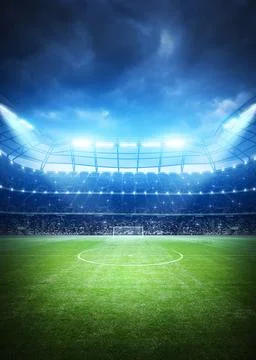 Soccer stadium Stock Illustration