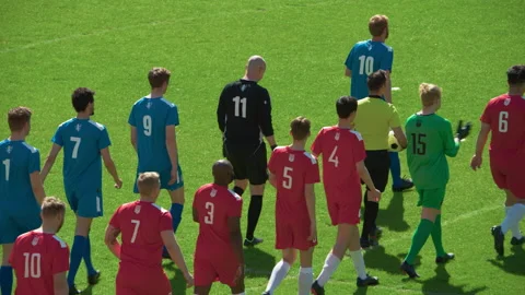 Soccer Teams Enter Field Stock Footage 223152389