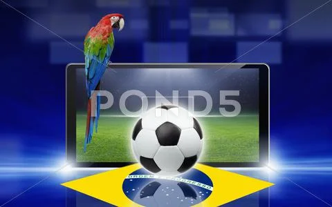 Soccer video game, brazil parrot Stock Illustration
