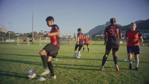Soccer Warm Up and training Stock Footage 279693724