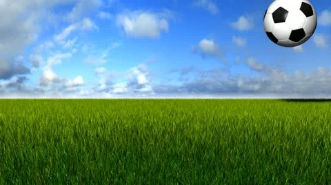 Soccerball animation on field Stock-Footage 12268708