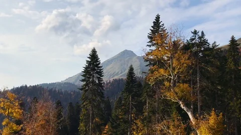 Sochi 3 Stock Footage 106853641