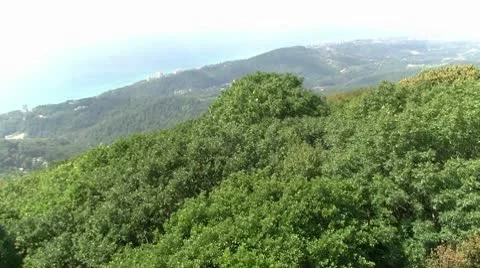 Sochi Stock Footage 8911854