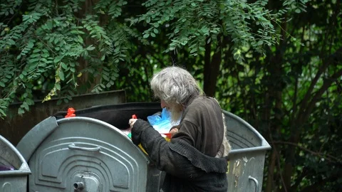 Sochi, Hosta, Russian Federation, 07,30,2019. Homeless is looking for food in Stock Footage 113515341
