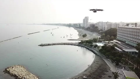 Sochi shore. Stock Footage 149108210