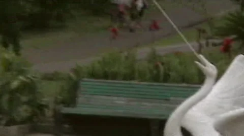 Sochi.Fountain Stock Footage 1926089