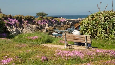 Social distancing at the beach Stock Footage 142175194