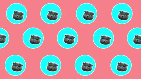 Social distancing cat head circles art background Vidéo 130916855