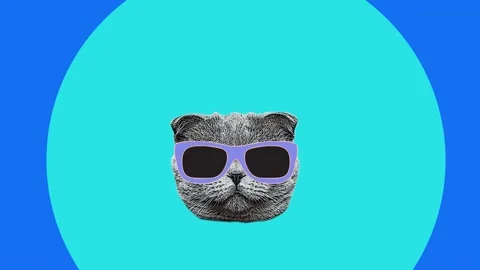Social distancing cat head circles art background Vidéo 130924656